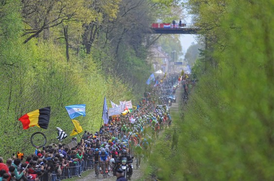 Paris-Roubaix: Arenberg Forrest