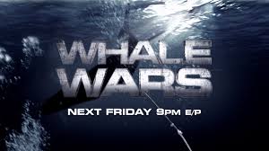 Whale Wars